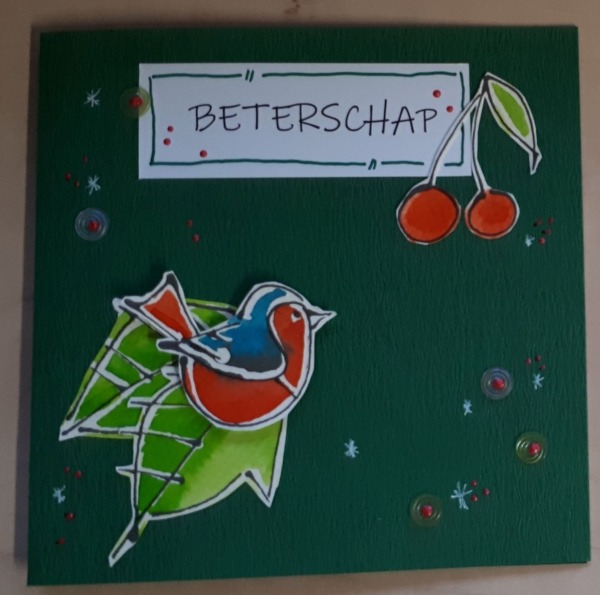 Handgemaakte wenskaart Beterschap birdy